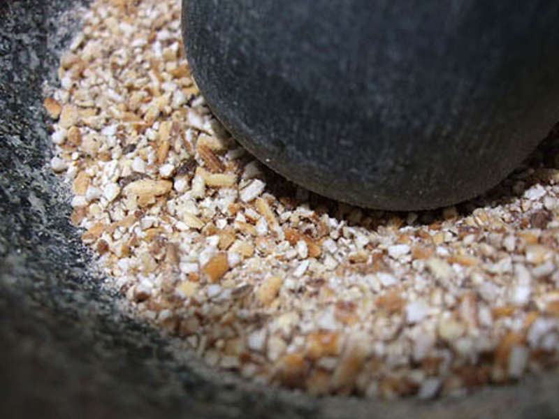 ̩�����⳴���������