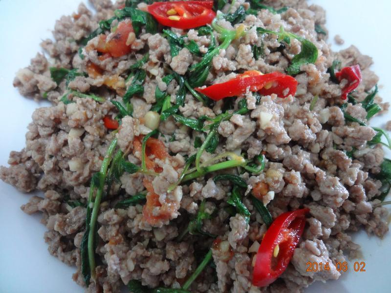 ����������̩ʽ�������������