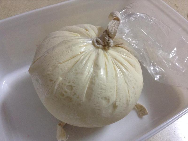 Ӥ��ƨ�������ţ�̰������������