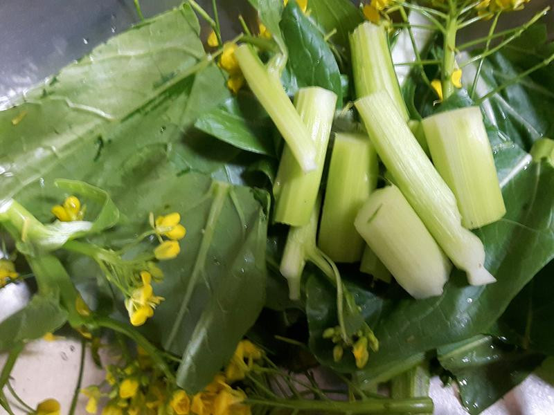 �����Ͳ˻�������