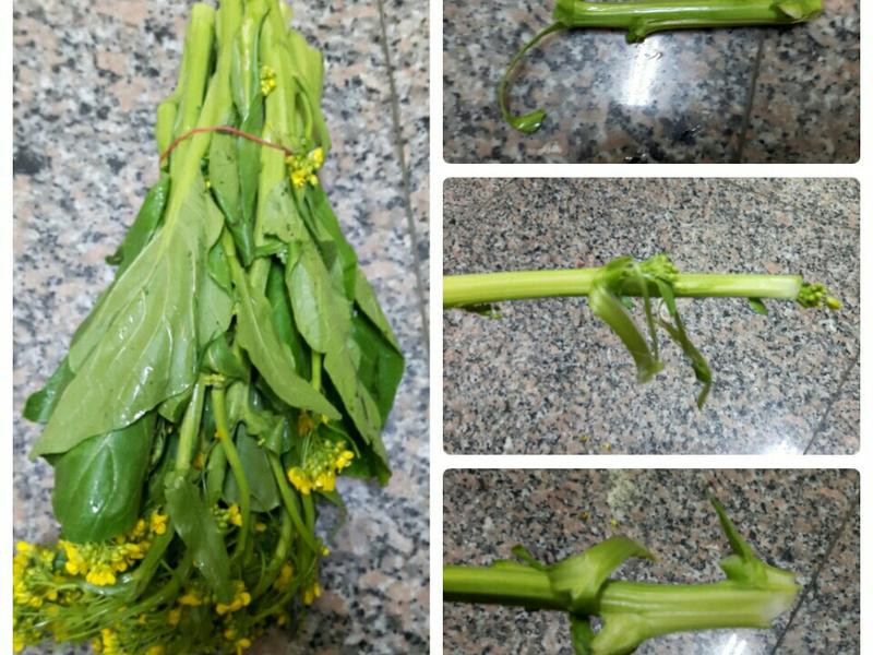 �����Ͳ˻�������