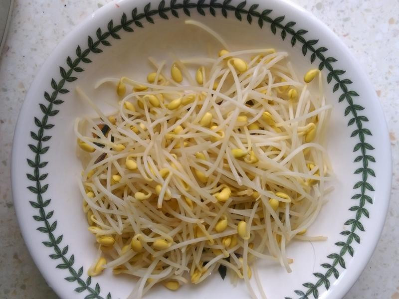 ����ը����������