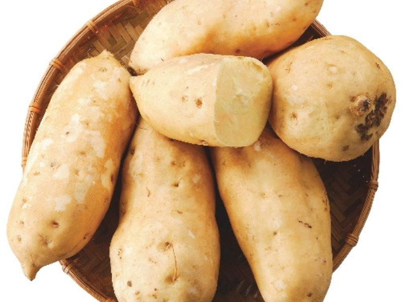 ���������ٷְٱ㵱������