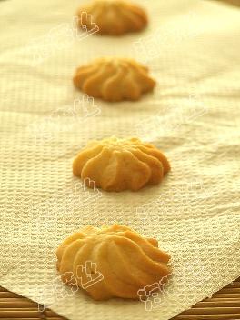 ţ�����������