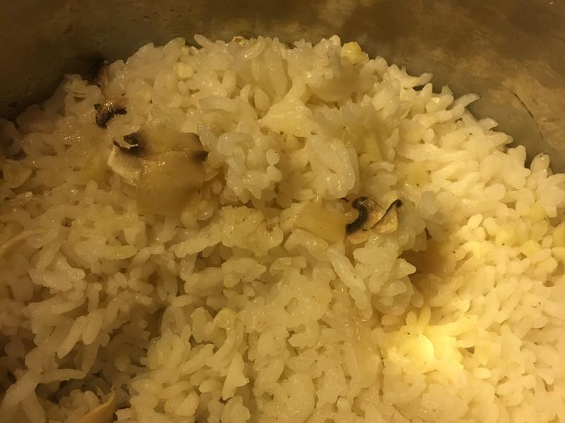 ����Ģ����������