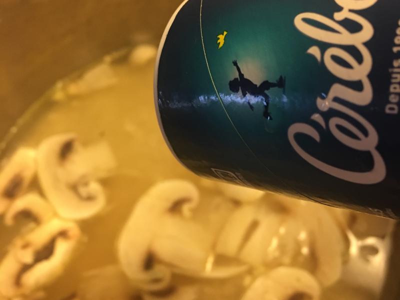 ����Ģ����������