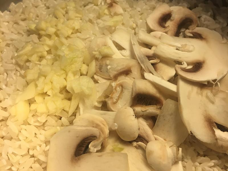 ����Ģ����������