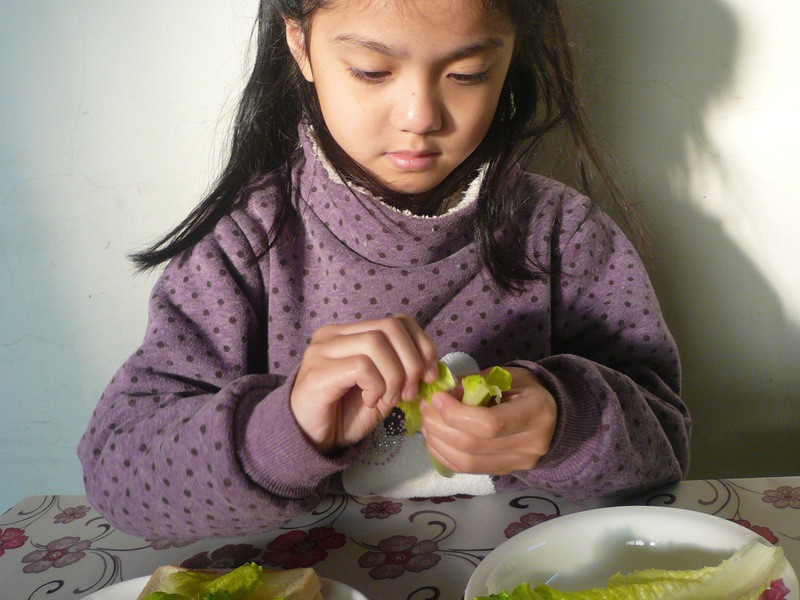 ��ݮɳ�������Ω���ݮ�Ͱ�ӥ�����̵�����