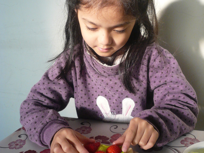 ��ݮɳ�������Ω���ݮ�Ͱ�ӥ�����̵�����