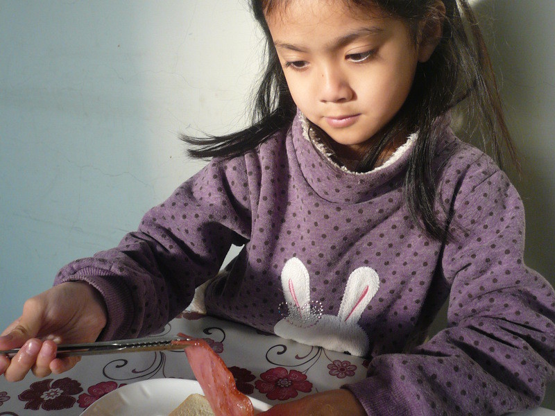 ��ݮɳ�������Ω���ݮ�Ͱ�ӥ�����̵�����