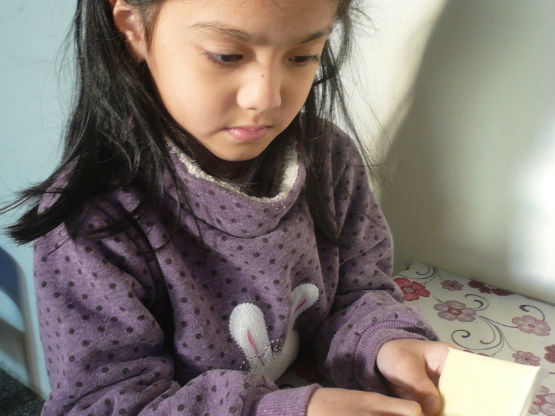 ��ݮɳ�������Ω���ݮ�Ͱ�ӥ�����̵�����