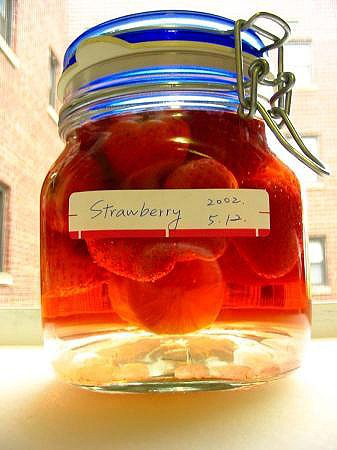 ��ݮ�Ƶ�����