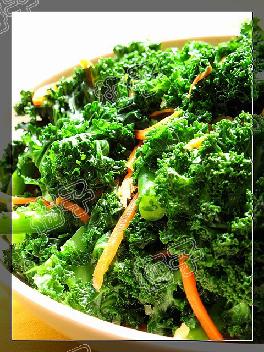 ���¸���������