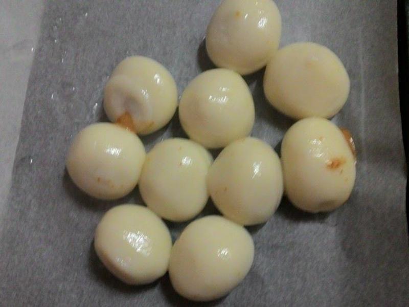 ������Բ����ӥ�����̵�����