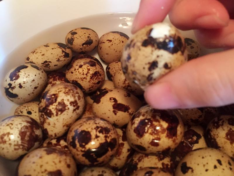 �㹽��Ҷ���ȵ�������