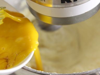 ����ţ�����������