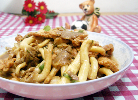 ��������Ƭ������