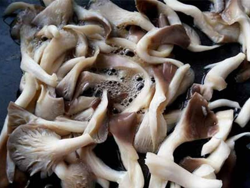 ���հ�ɳ�������