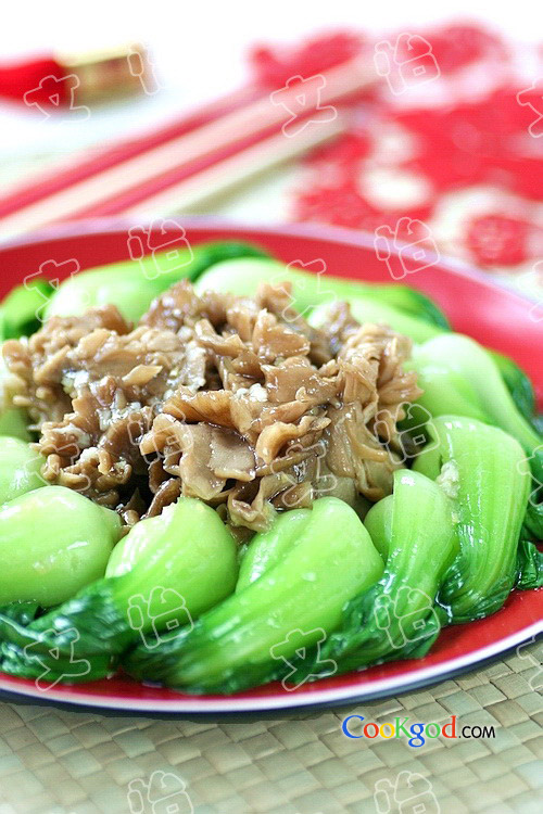 �������ǲ��ĵ�����