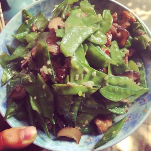 �������������������