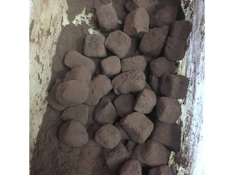 ����ɿ���������