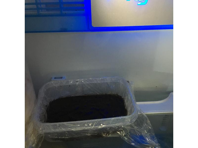 ����ɿ���������