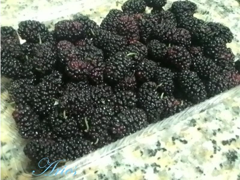 ɣ�ع��� by Aries������