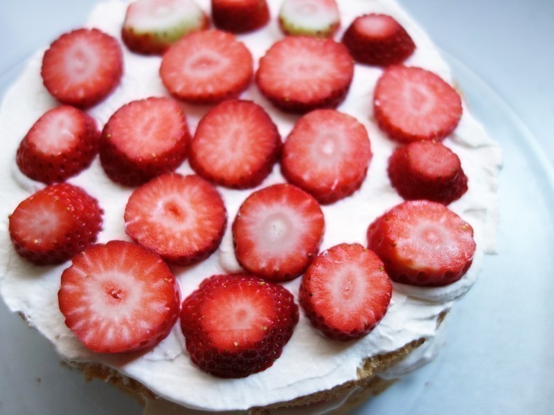 ��ɫõ���ݮ���͵��������