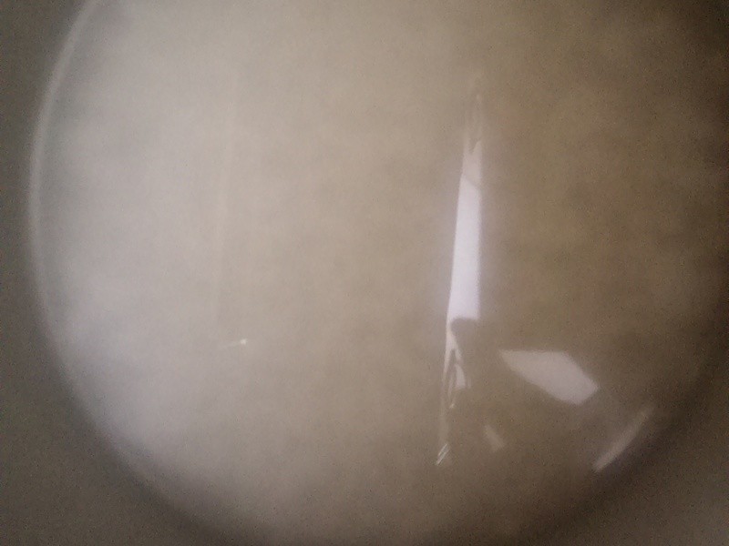 ���۱�����ʳƷ~�˱��������