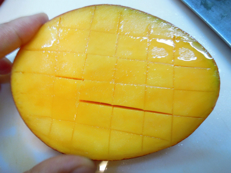 â��ɯɯ������