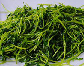 �����㶹�������