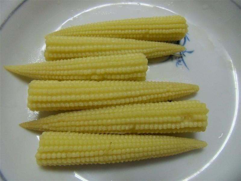 ��������߲ʾ�������