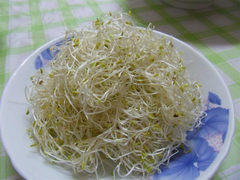 ��������߲ʾ�������