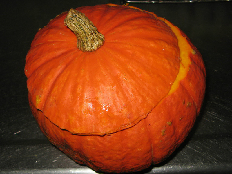 �����Ϲ��ѵ�����