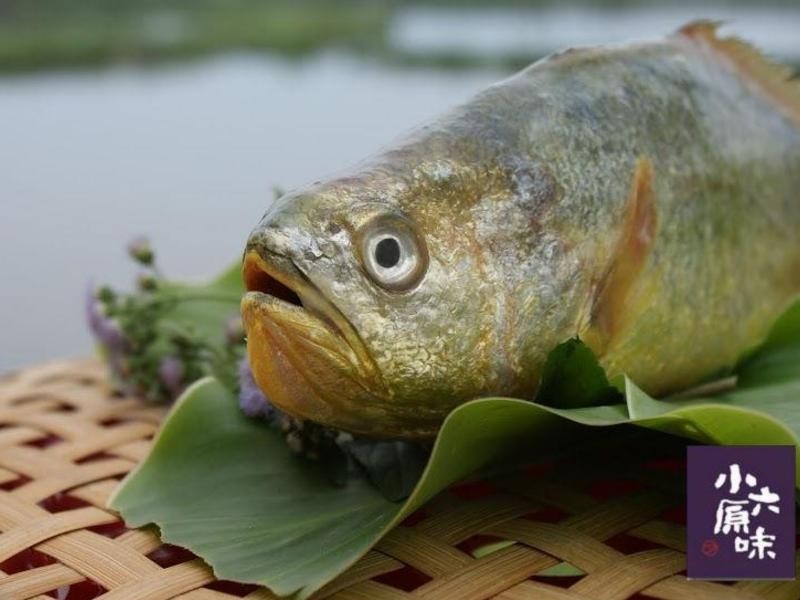 ɳ�趹������������