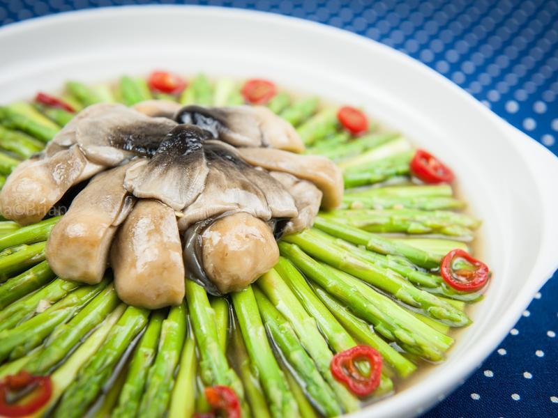 �ݹ���«�������