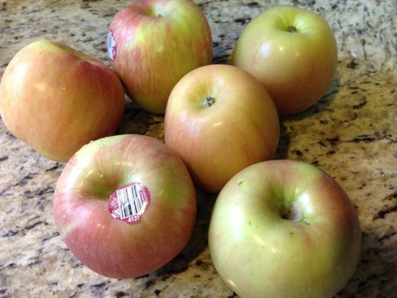 ������ͳƻ����?!!!������