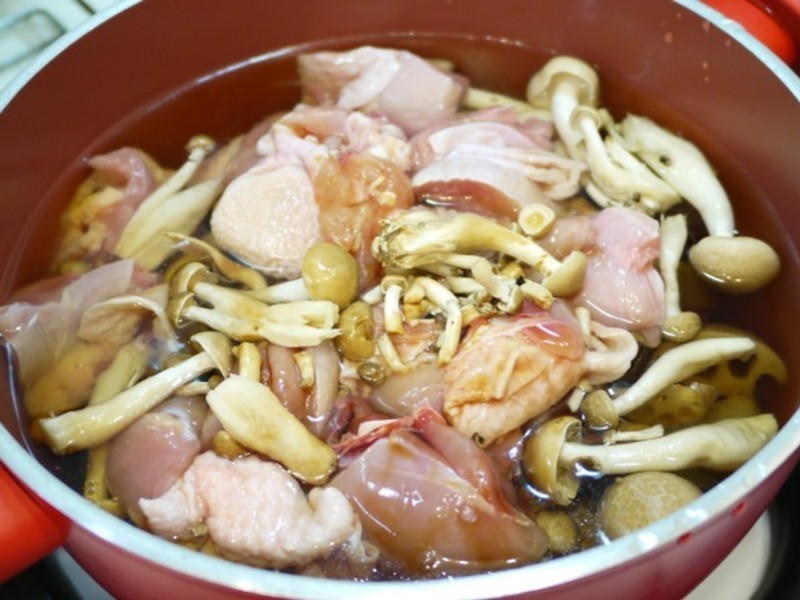 ��ʽ���������