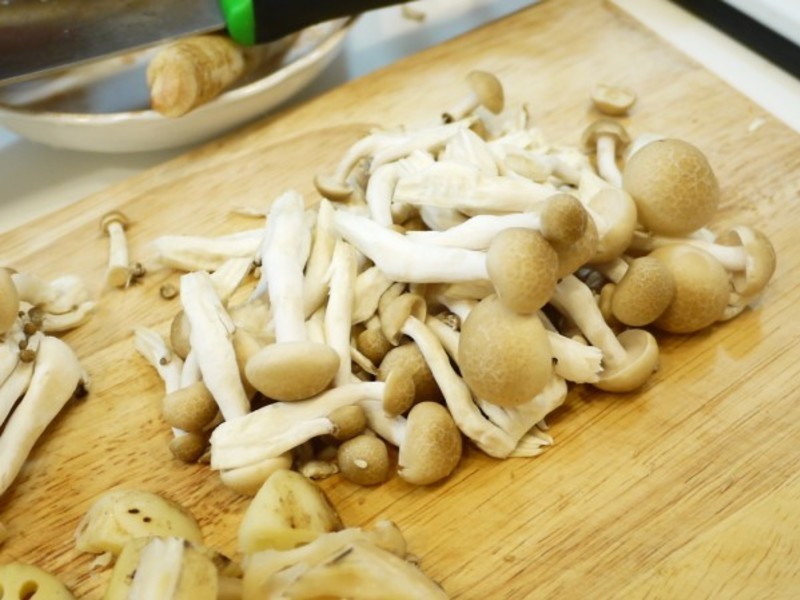 ��ʽ���������