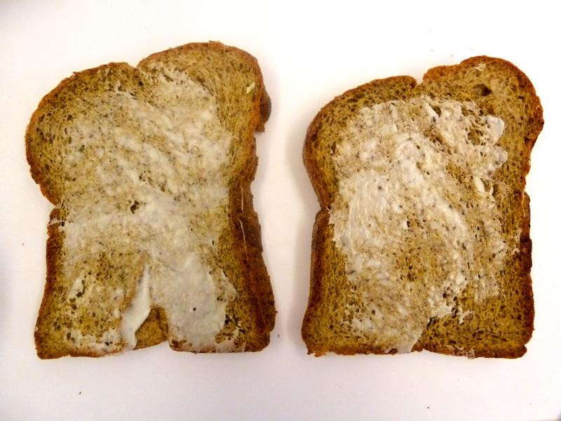 ��Ƥ�����������ε�����