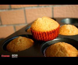 ����Ҭ˿��ҵ�����