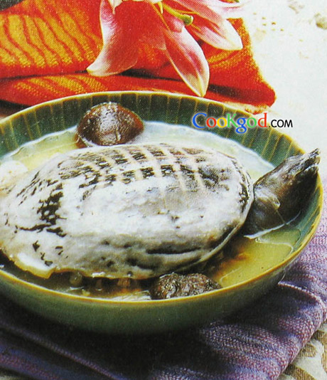 �������������