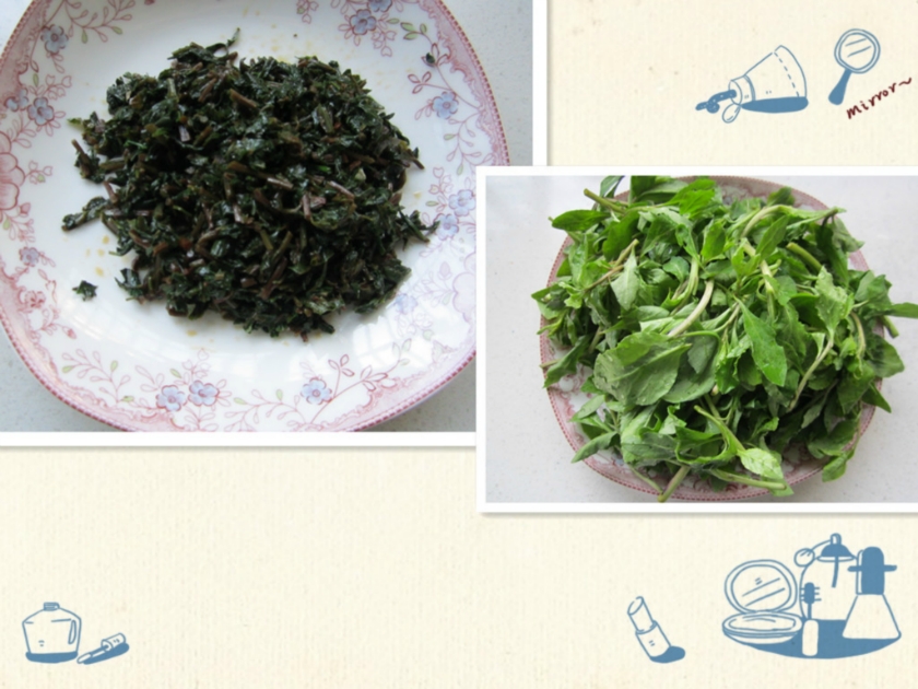 ������轲˵�����