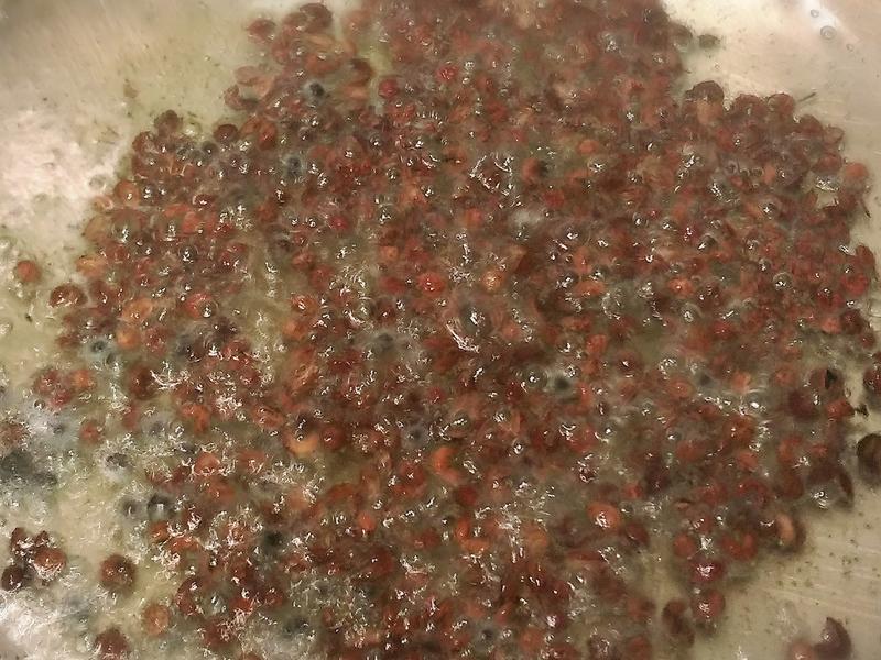 ����ζ�ɱ���������