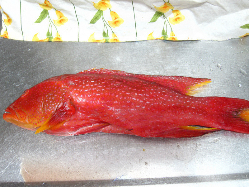 ��Ƭ��������Ұ�����m��������