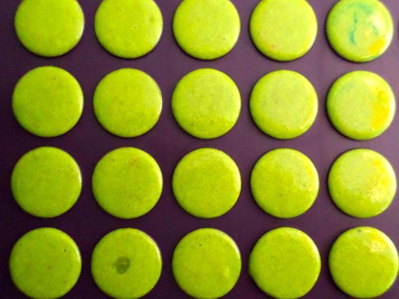 ���Ĺ������������������