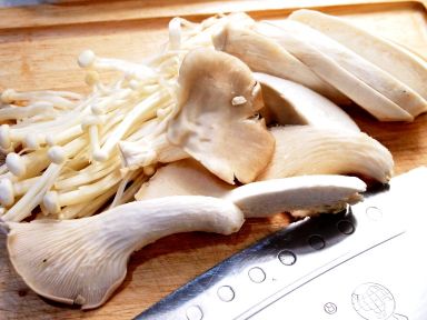 ��ţ�㹽��ɳ������