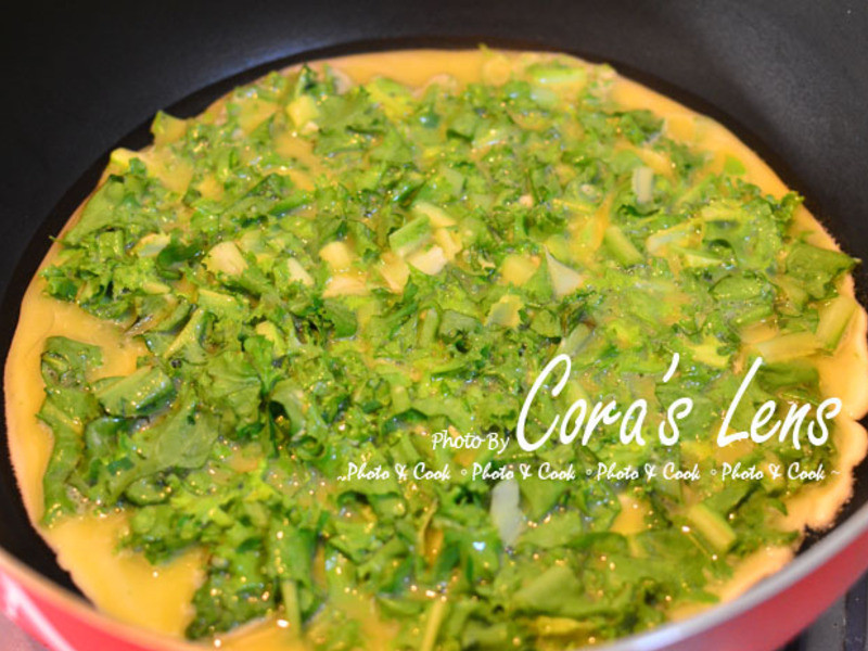 ���ĵ���������