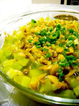 ����ݫ�񶡵�����