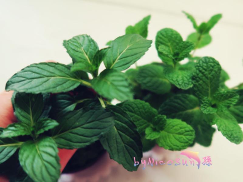 ʵ�����ϱ��������